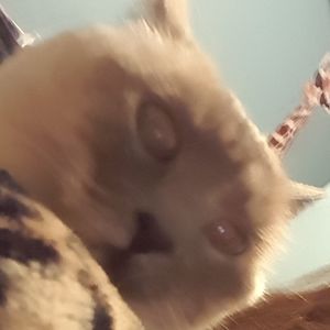 Meet your Posher, Lillian